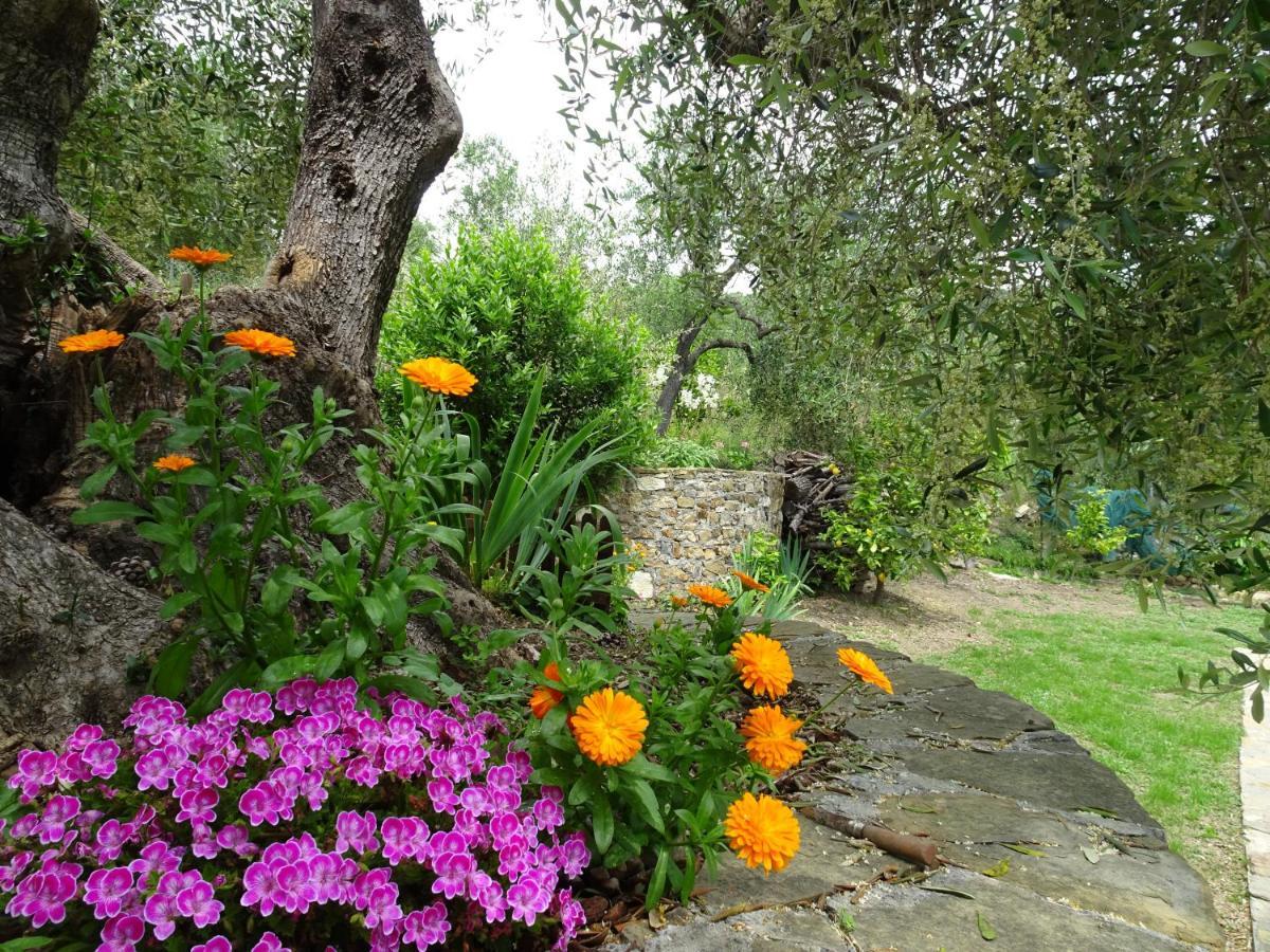Le Casasse Daire Imperia Dış mekan fotoğraf